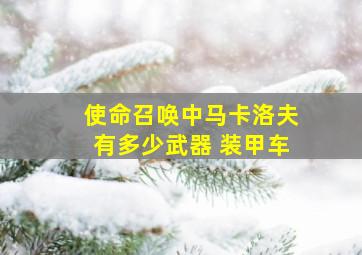 使命召唤中马卡洛夫有多少武器 装甲车